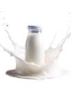 Yoghurt